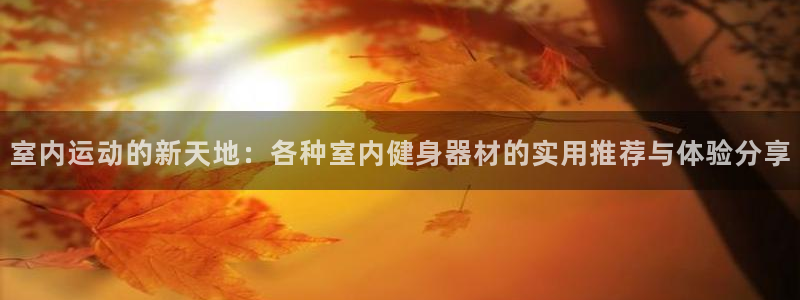 意昂平台体育：室内运动的新天地：各种室内健身器材的实