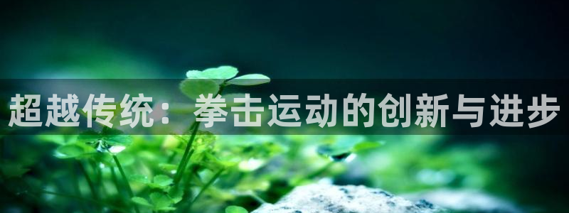 凯捷体育娱乐网站：超越传统：拳击运动的创新与进步