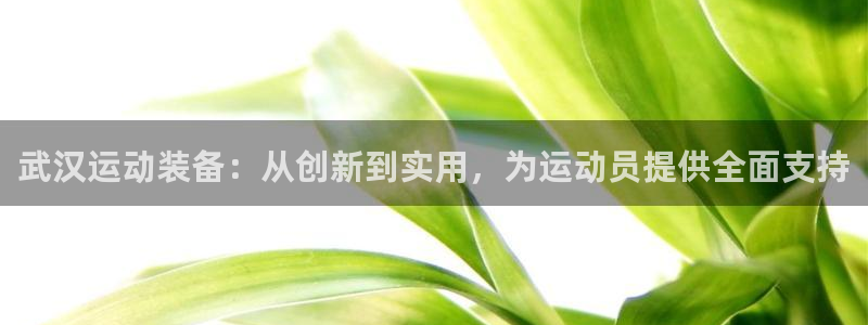 德国凯捷体育集团：武汉运动装备：从创新到实用，为运动