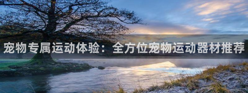 凯捷体育平台假的吗是真的吗：宠物专属运动体验：全方位