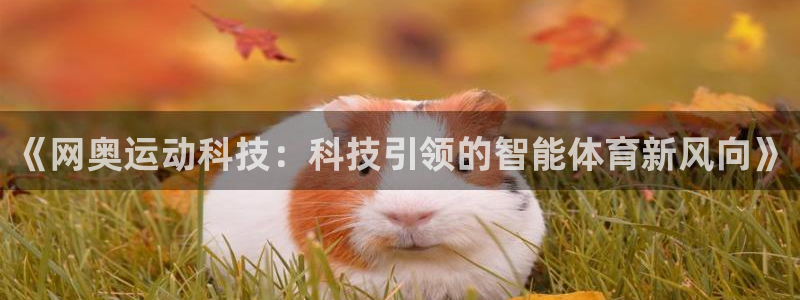 凯捷体育招商电话地址：《网奥运动科技：科技引领的智能体育新风