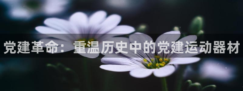 凯捷体育平台注册：党建革命：重温历史中的党建运动器材
