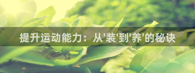 凯捷体育联系电话：提升运动能力：从\'装\'到\'养\'的秘