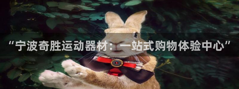德国凯捷体育集团