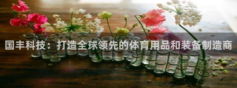 凯捷体育官方客服电话：国丰科技：打造全球领先的体育用