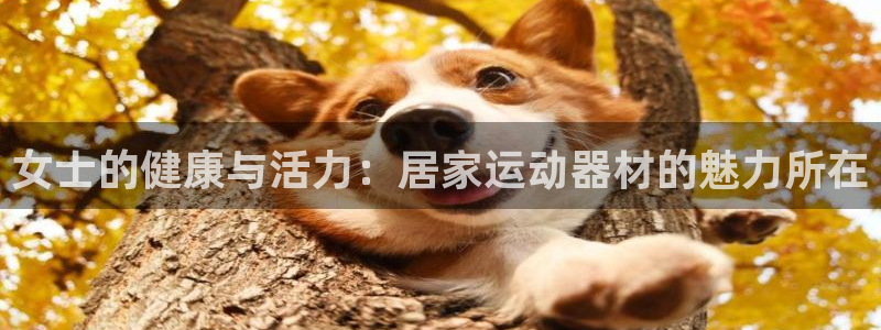 凯捷体育官方：女士的健康与活力：居家运动器材的魅力所
