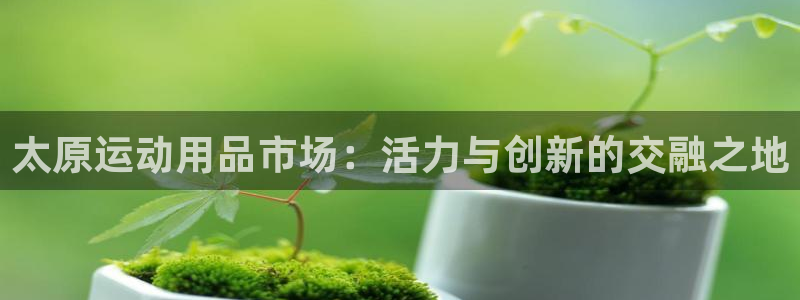 凯捷体育平台注册流程视频：太原运动用品市场：活力与创