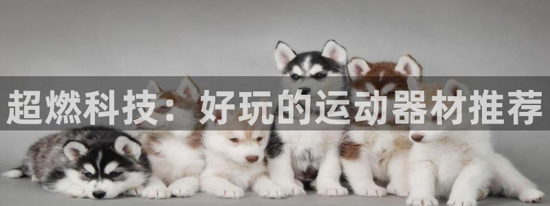 凯捷体育是干嘛的公司：超燃科技：好玩的运动器材推荐