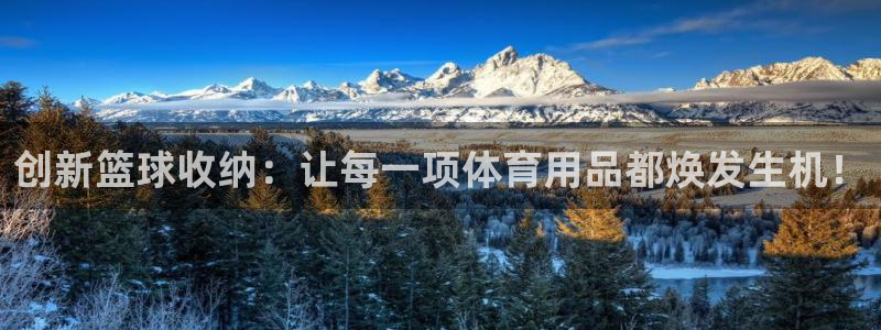 凯捷体育平台注册：创新篮球收纳：让每一项体育用品都焕发生机！