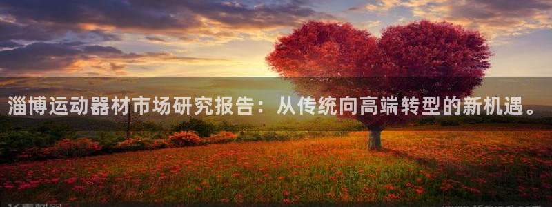 海南凯捷体育发展怎么样：淄博运动器材市场研究报告：从传统向高