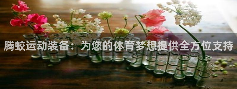 凯捷体育招商电话地址：腾蛟运动装备：为您的体育梦想提供全方位