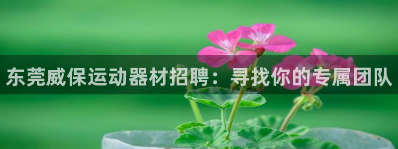 凯捷体育招商电话：东莞威保运动器材招聘：寻找你的专属团队