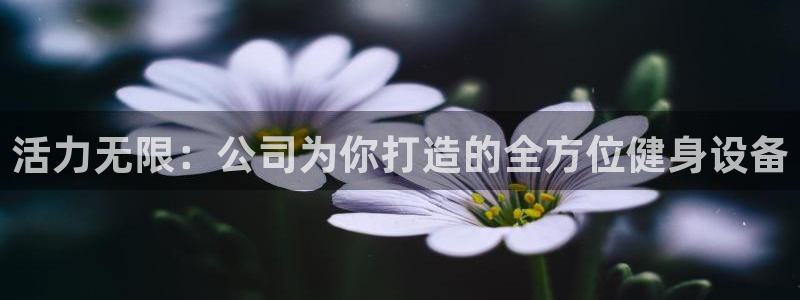 海南凯捷体育：活力无限：公司为你打造的全方位健身设备