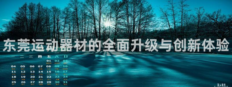 凯捷体育：东莞运动器材的全面升级与创新体验