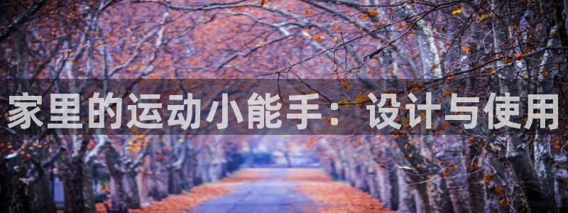 凯捷体育集团：家里的运动小能手：设计与使用
