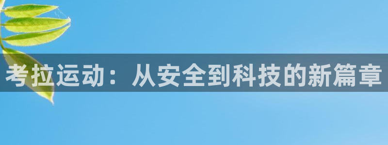 凯捷体育平台注册要钱吗：考拉运动：从安全到科技的新篇